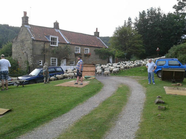 Table victorious in Quoits challenge